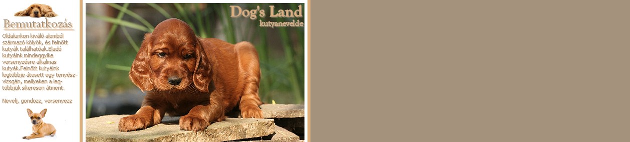 .Dog's Land. kutyanevelde